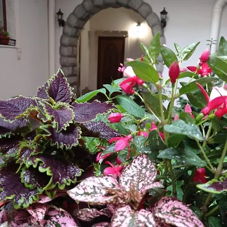 דירה Rynok 25 Deluxe Center