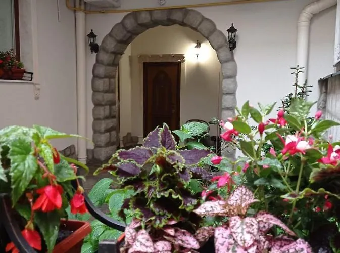 Rynok 25 Deluxe Center *