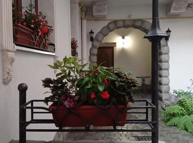 Rynok 25 Deluxe Center 公寓 利沃夫