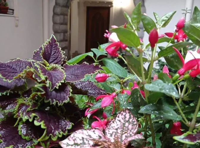 Apartamento Rynok 25 Deluxe Center